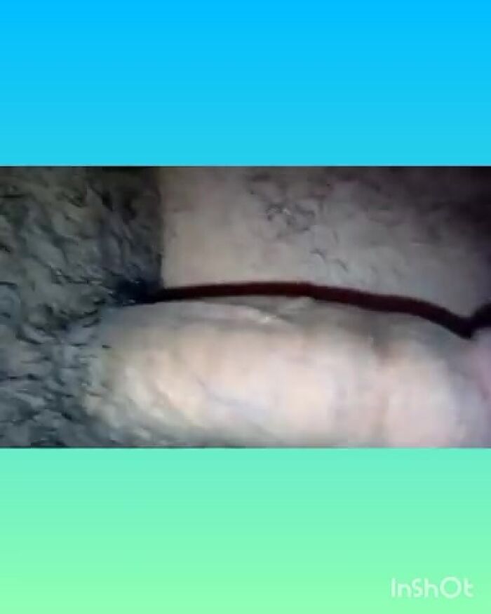 Хорошая встреча