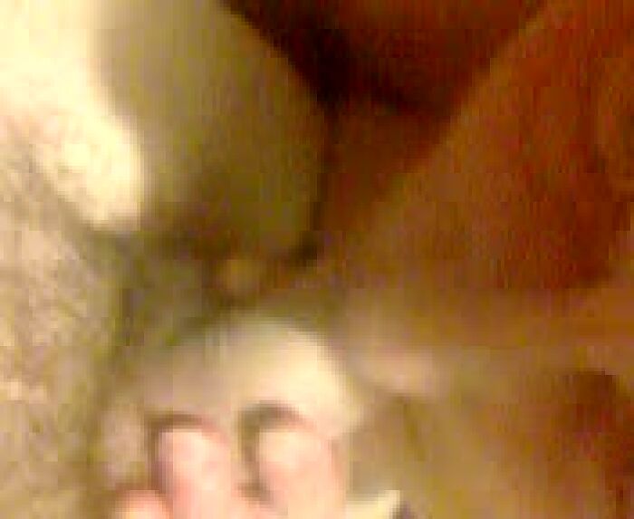 Повеселились