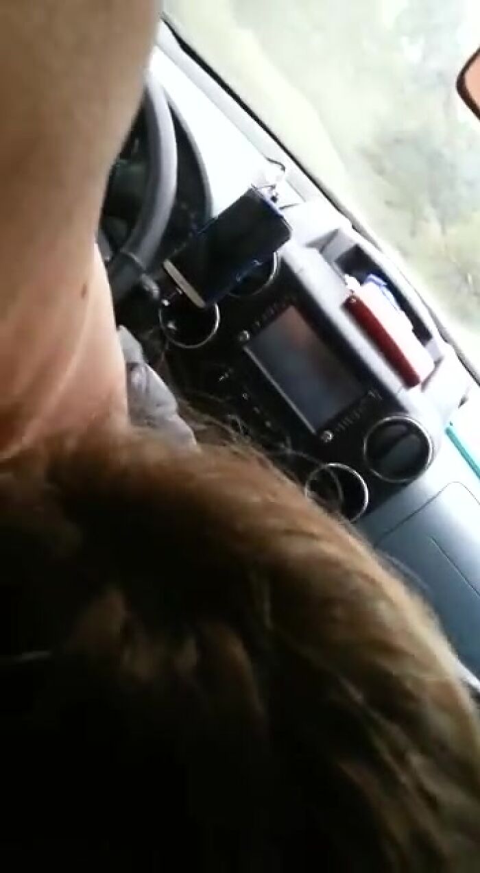 Любит сосать