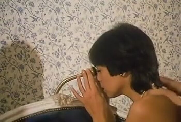Шикарные гостевые комнаты (1983)