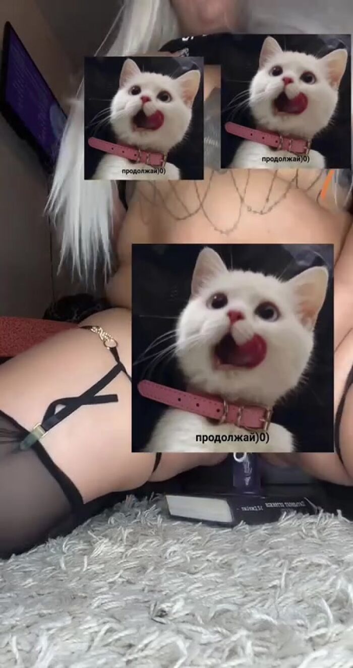 Я СКАЧУ НА ДЫЛДО