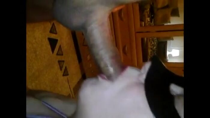 зрелая старая рабыня