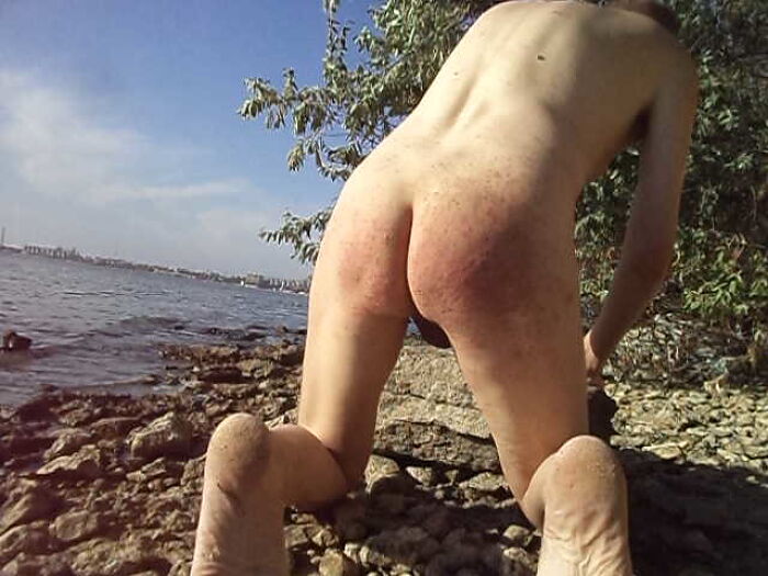 Солнце, вода и плётка