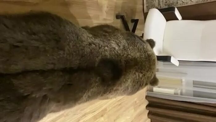 Самочка вдома