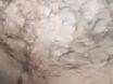 Личные видео