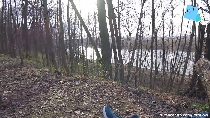 в лесочке дружочки