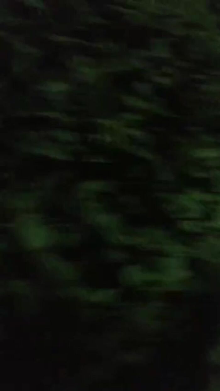 Дрочу в кустиках для вас!!!! Жду комментариев и от прекр