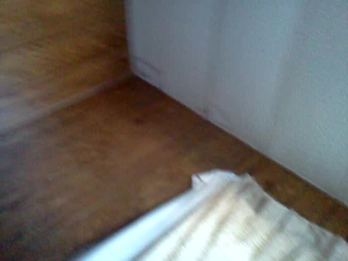 Eliss's happy footslave