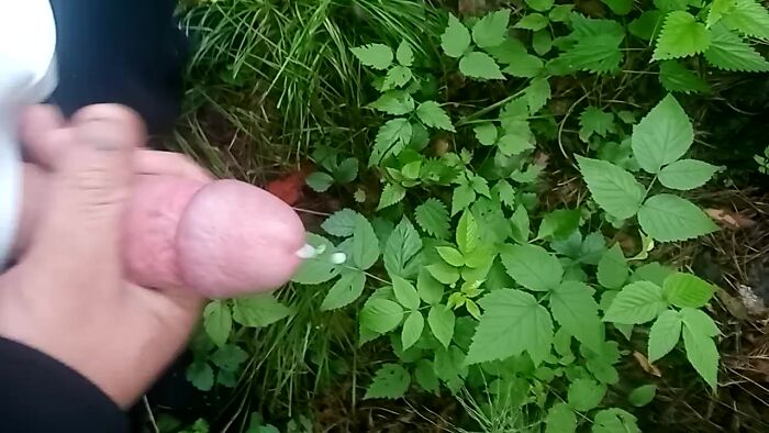 Приехал за грибами, заодно и подрачил.