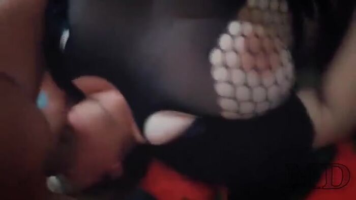 рплорлрнамрпп