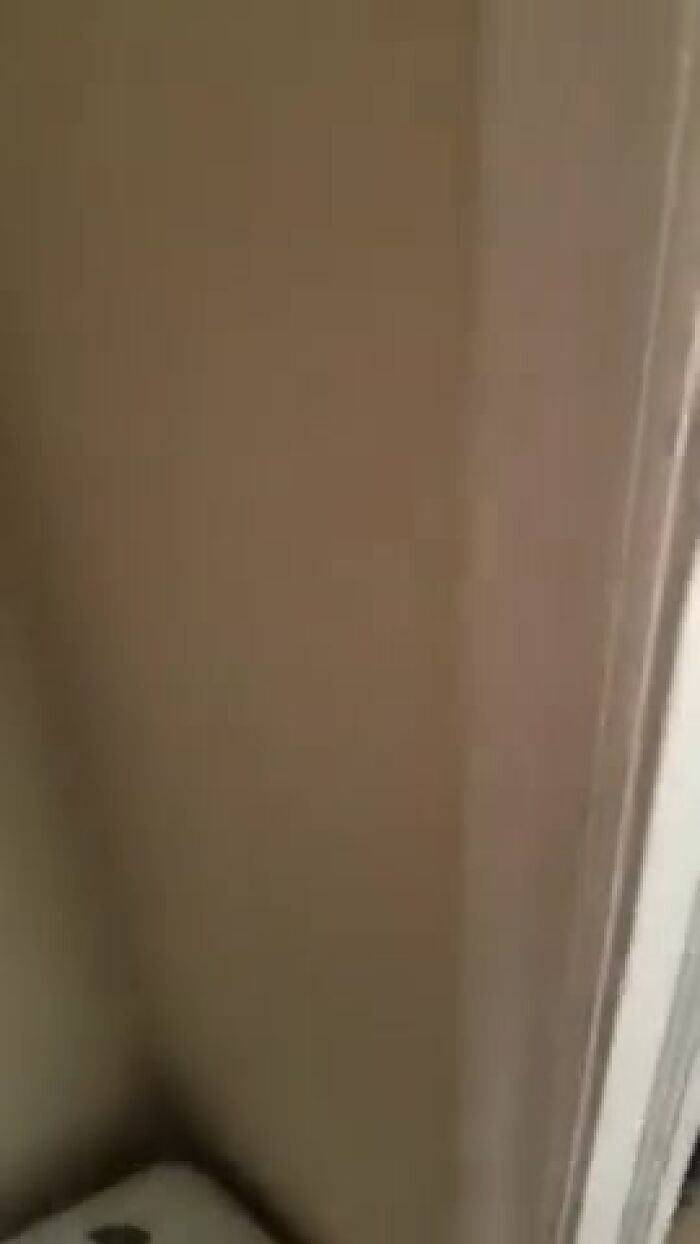 Люблю смотреть