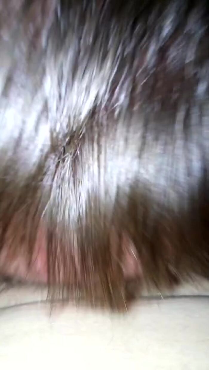 Виолетта опускает и унижает Дениса она кончает от этого