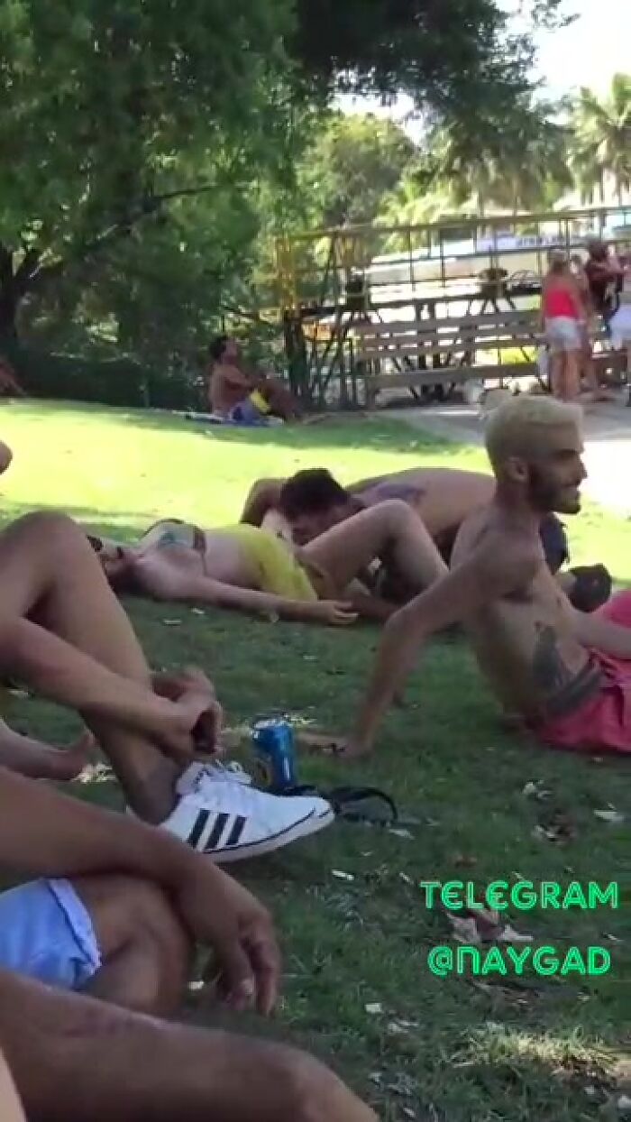 Куник на лужайке