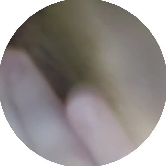 Пися подруги