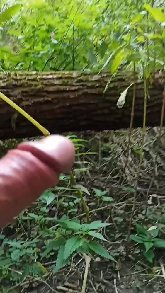 Выгуливаю свой член