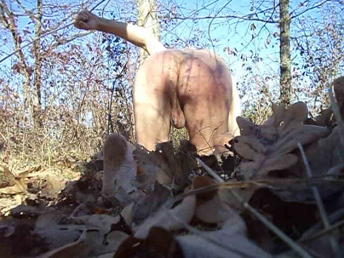 Порка в парке