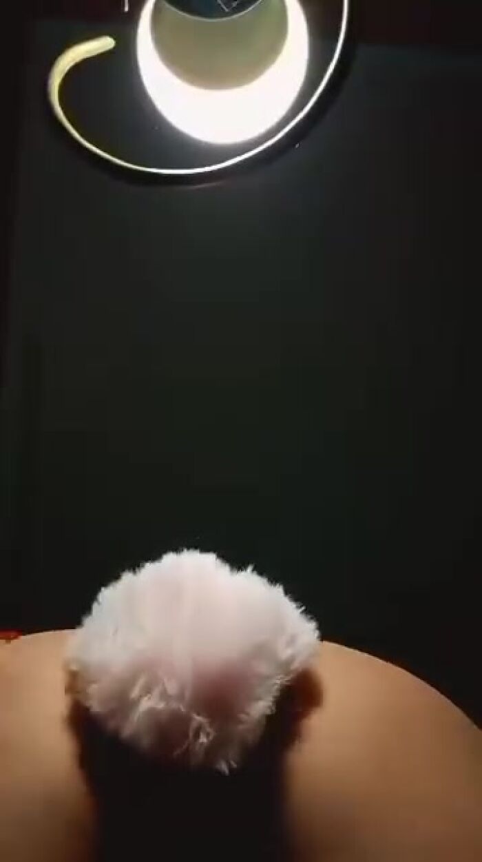 Оцените попу новой девочки