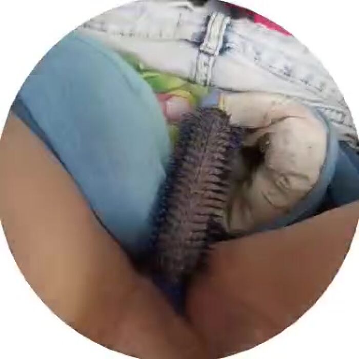 Когда скучно я беру розчёску